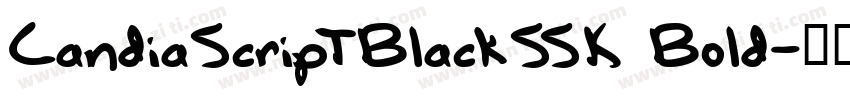 CandiaScriptBlackSSK Bold字体转换
